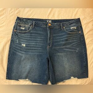 Terra & Sky Blue Jean Shorts Distressed Cut-Off Style
